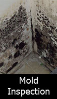 agreements-mold